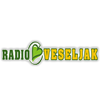 Radio Veseljak 94.9