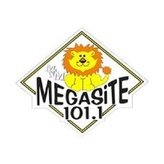 Megasite 101.1 FM